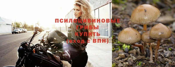 мескалин Белокуриха